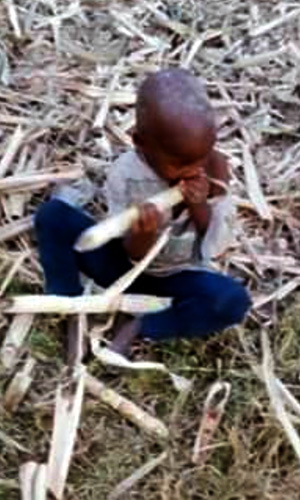 Mwemezi Fahad